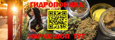 МДПВ Кандалакша