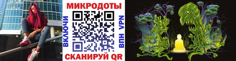 купить закладку  Кострома  Псилоцибиновые грибы Psilocybe 