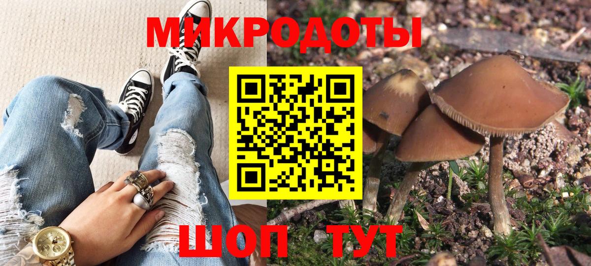 Псилоцибиновые грибы GOLDEN TEACHER  Псилоцибиновые грибы Psilocybine cubensis  Кострома  Вход с VPN 